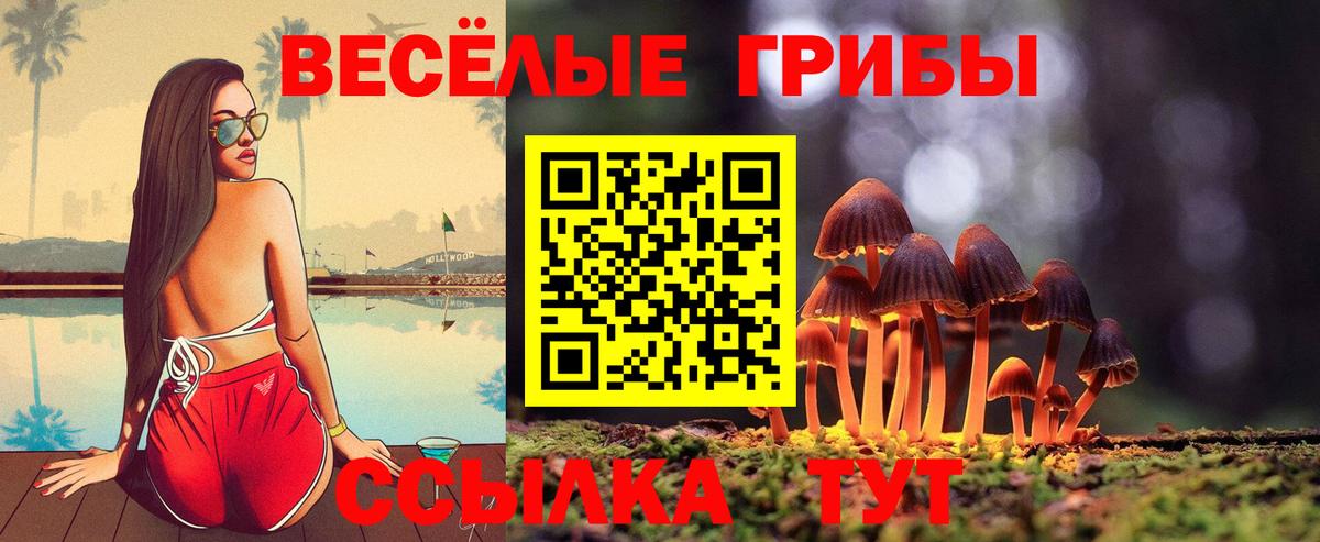 Кашира  Галлюциногенные грибы прущие грибы  Галлюциногенные грибы Psilocybe  Вход с VPN 