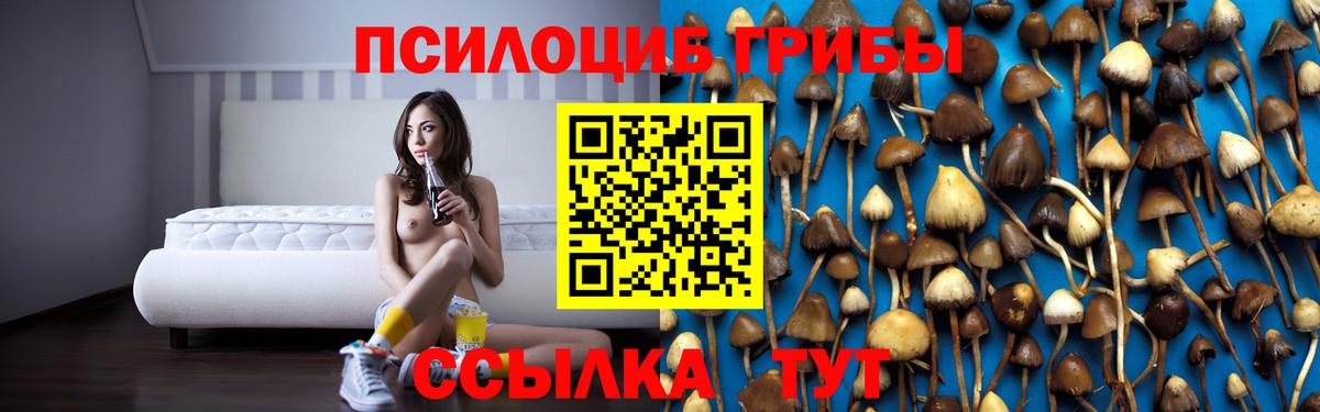 Псилоцибиновые грибы Psilocybine cubensis Кашира